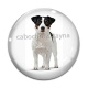 Cabochon Verre - chien