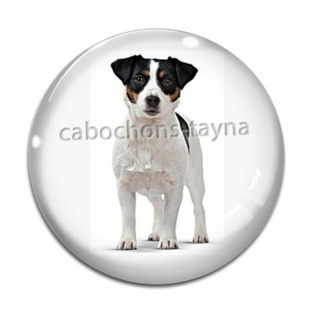 Cabochon Verre - chien