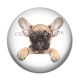 Cabochon Résine - chien