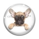 Cabochon Verre - chien