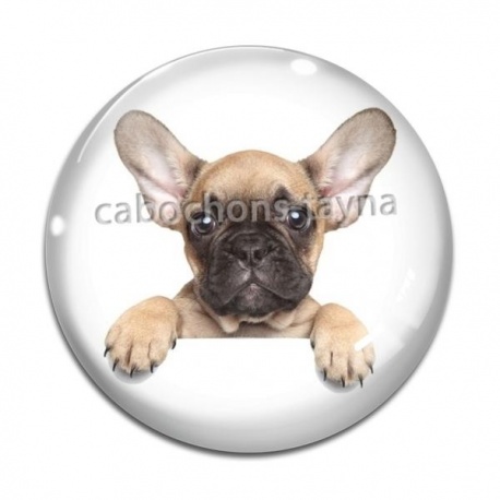 Cabochon Verre - chien