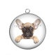 Pendentif Cabochon Argent - chien