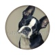 chien