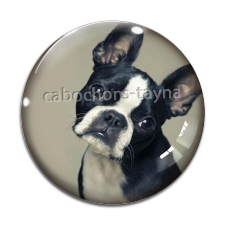 Cabochon Verre - chien