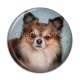 Cabochon Résine - chien