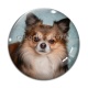 Cabochon Verre - chien