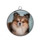 Pendentif Cabochon Argent - chien
