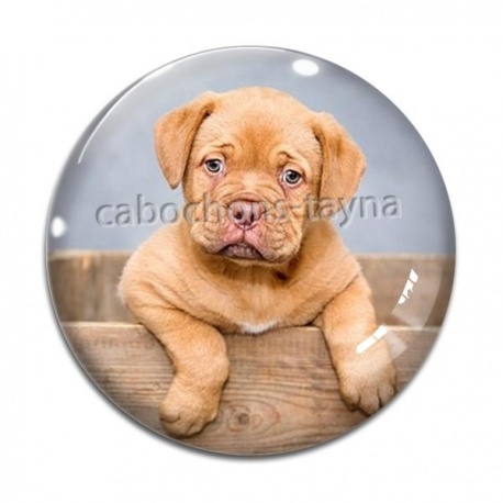 Cabochon Verre - chien