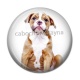 Cabochon Résine - chien