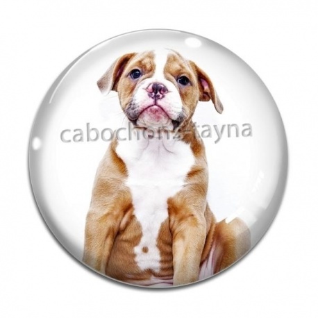 Cabochon Verre - chien