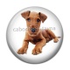Cabochon Résine - chien