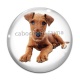 Cabochon Verre - chien