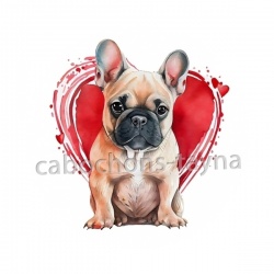 chien