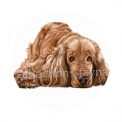 chien