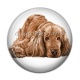 Cabochon Résine - chien