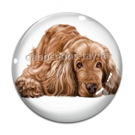 Cabochon Verre - chien