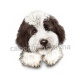 chien