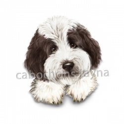 chien