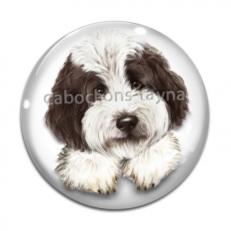 Cabochon Verre - chien