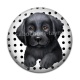 Cabochon Résine - chien