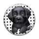 Cabochon Verre - chien