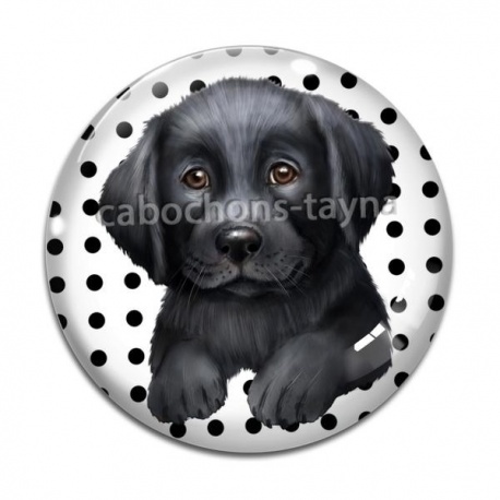 Cabochon Verre - chien