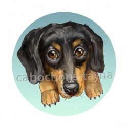 chien