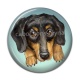 Cabochon Résine - chien