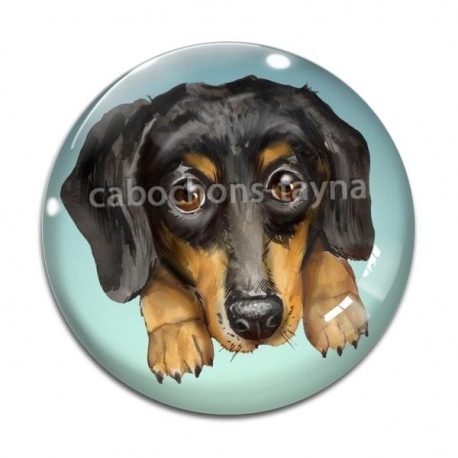 Cabochon Verre - chien