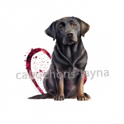 chien