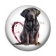 Cabochon Résine - chien