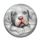 Cabochon Résine - chien