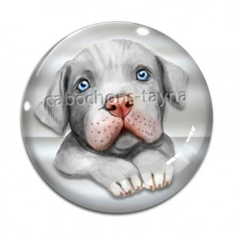 Cabochon Verre - chien