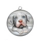 Pendentif Cabochon Argent - chien