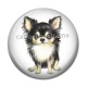 Cabochon Résine - chien