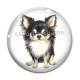 Cabochon Verre - chien