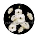 coquelicot blanc