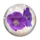 Cabochon Verre - fleur