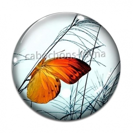 Cabochon Verre - papillon