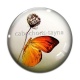 Cabochon Verre - papillon