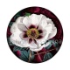 fleur