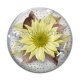 Cabochon Verre - fleur