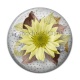 Cabochon Résine - fleur