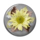 Cabochon Résine - fleur