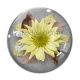 Cabochon Verre - fleur