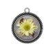 Pendentif Cabochon Argent - fleur