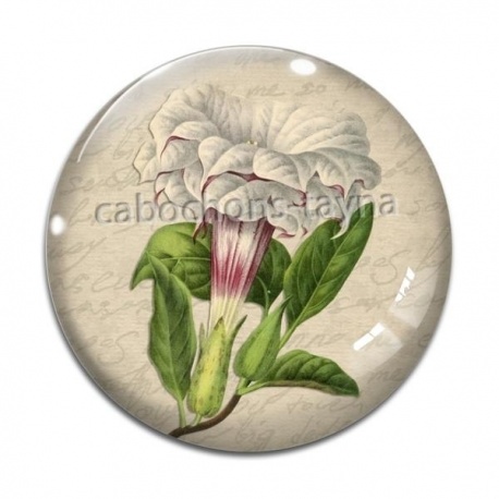 Cabochon Verre - fleur exotique
