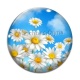Cabochon Verre - marguerite