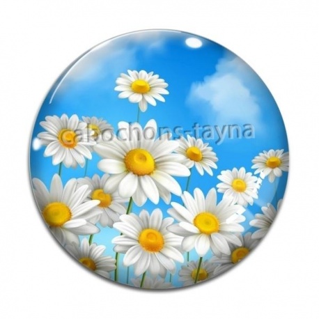 Cabochon Verre - marguerite