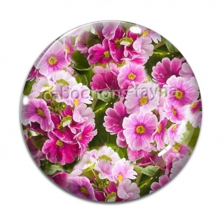 Cabochon Verre - coquelicot